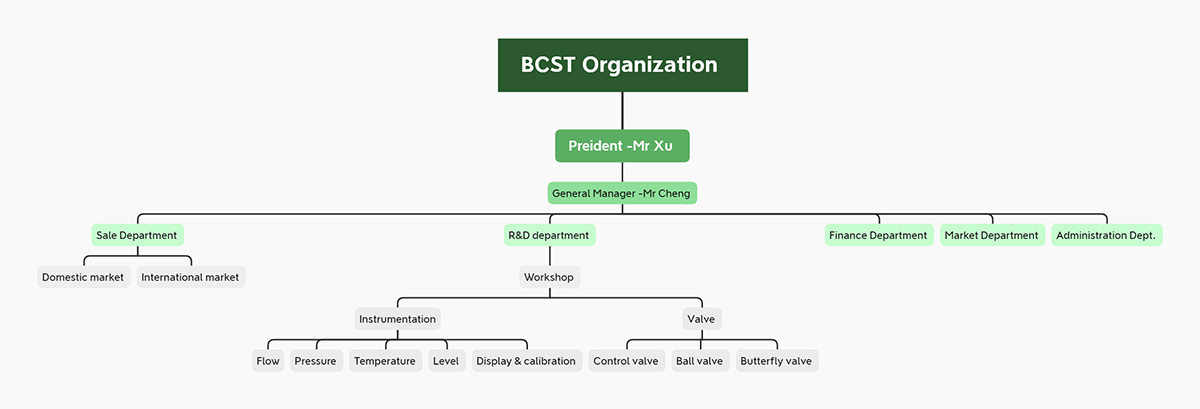 BCST组织